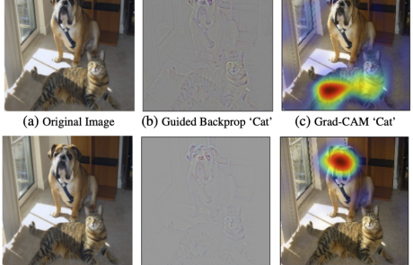 MCL Research on Feedforward Visual Attention