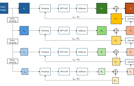 MCL Research on 3D Whole-Brain Image Analysis in Mice