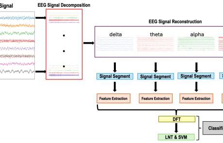MCL Research on EEG Analysis