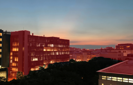 MCL Research on Video Quality Assessment